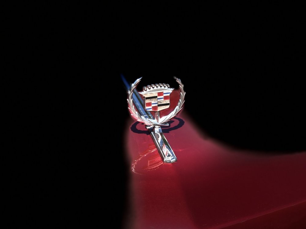 2019-06-18 10-11-08 (113).jpeg