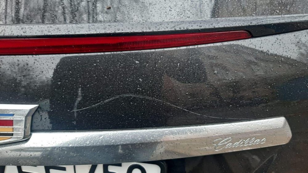 photo_2020-03-12_20-29-24 (2).jpg