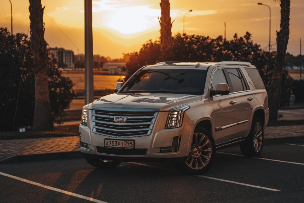 Сочи_день_2 (96 of 1003).jpg