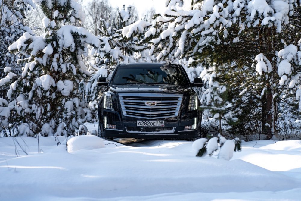 Любимая_Ржев_снег (113 of 631).jpg