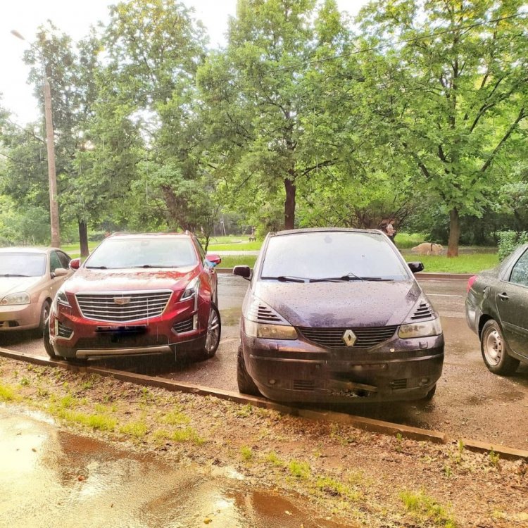 WhatsApp Image 2021-06-16 at 14.55.31.jpeg