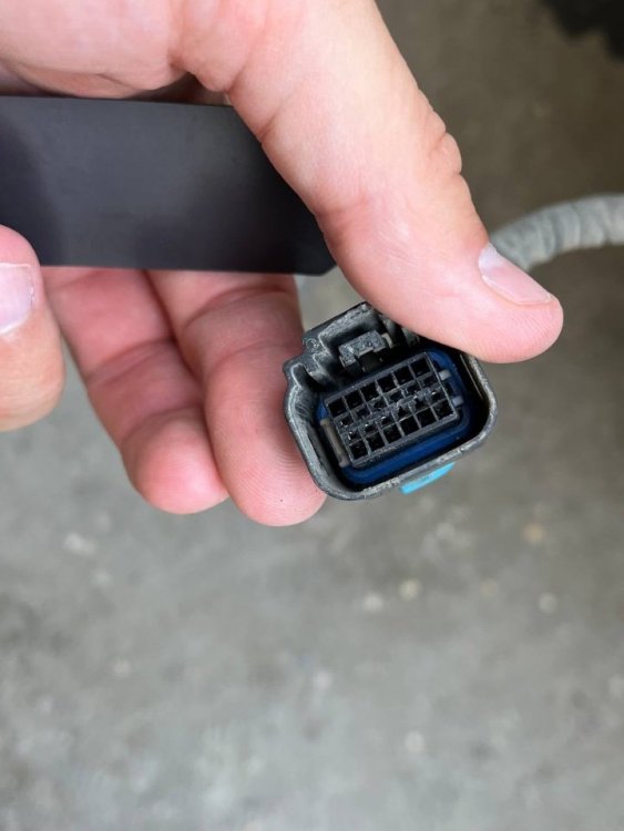 2022-08-16 16.08.24.jpg