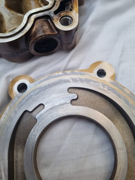 WhatsApp Image 2022-08-26 at 14.02.21.jpeg