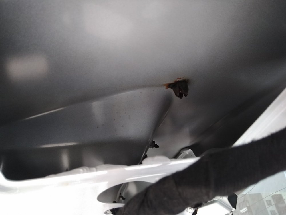 Ржавые хрупкие гайки крепления молдинга.jpg