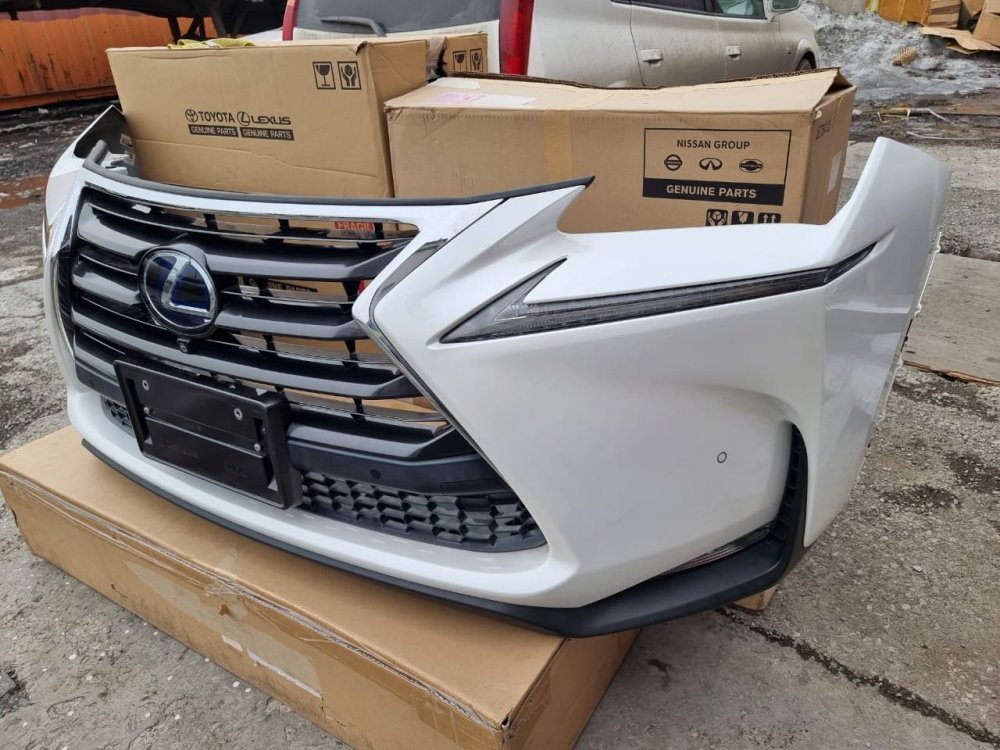 Изображение WhatsApp 2023-05-01 в 00.40.081.jpg