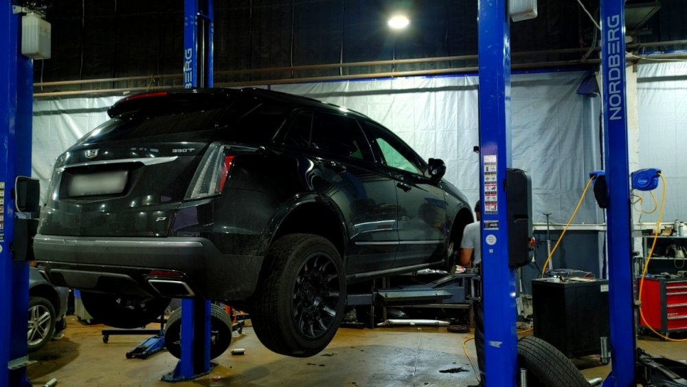 Point Blur_Aug262023_181706.jpg