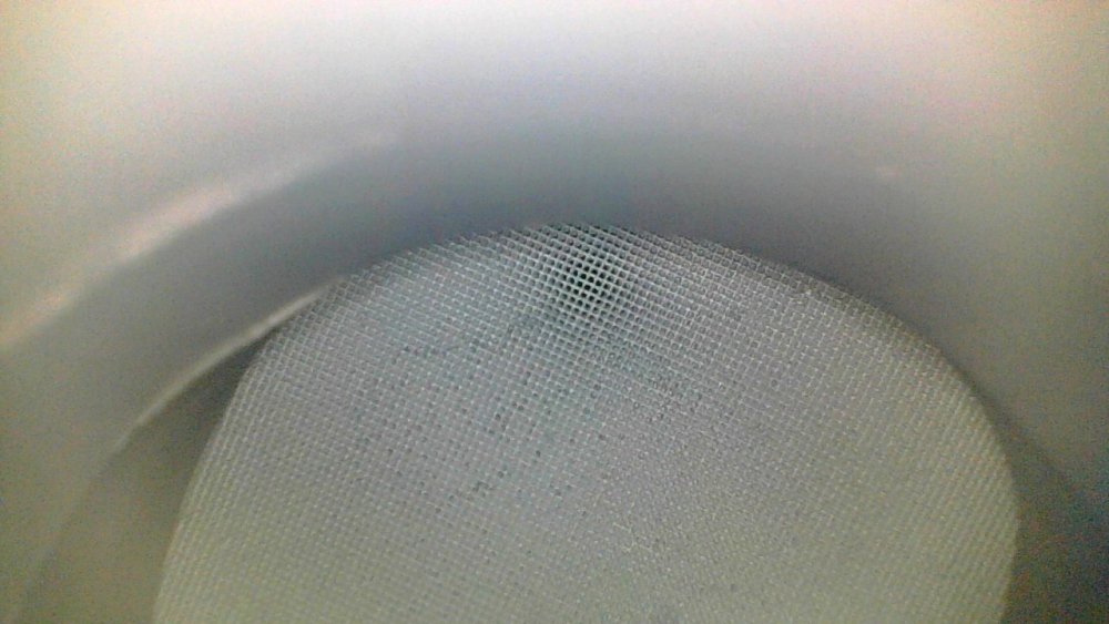 Point Blur_Oct022023_182625.jpg