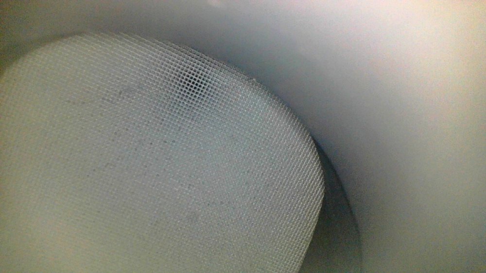 Point Blur_Oct022023_182639.jpg