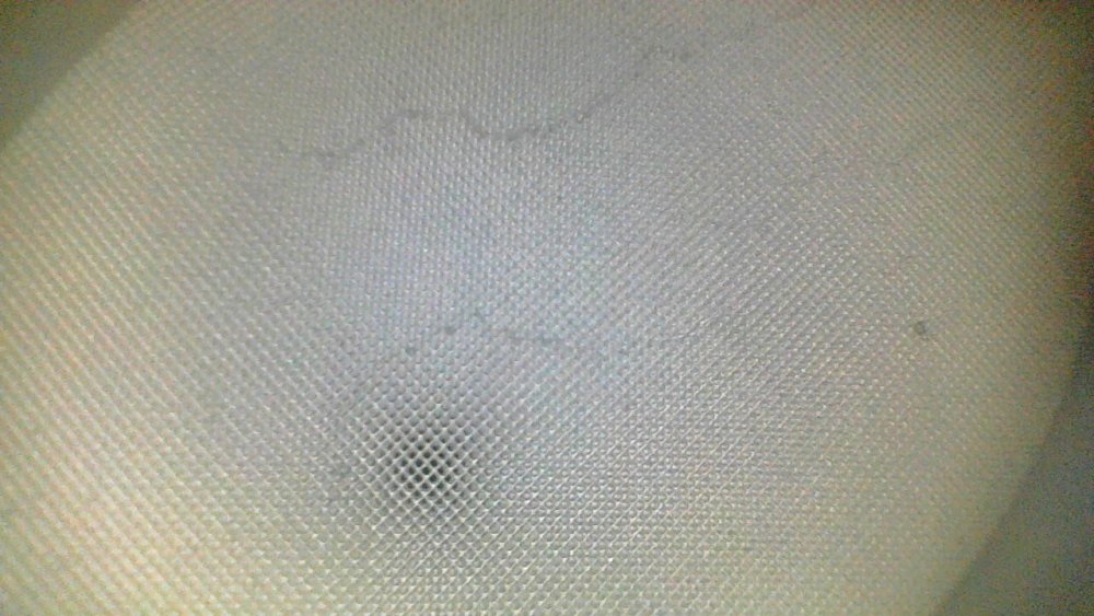 Point Blur_Oct022023_182649.jpg