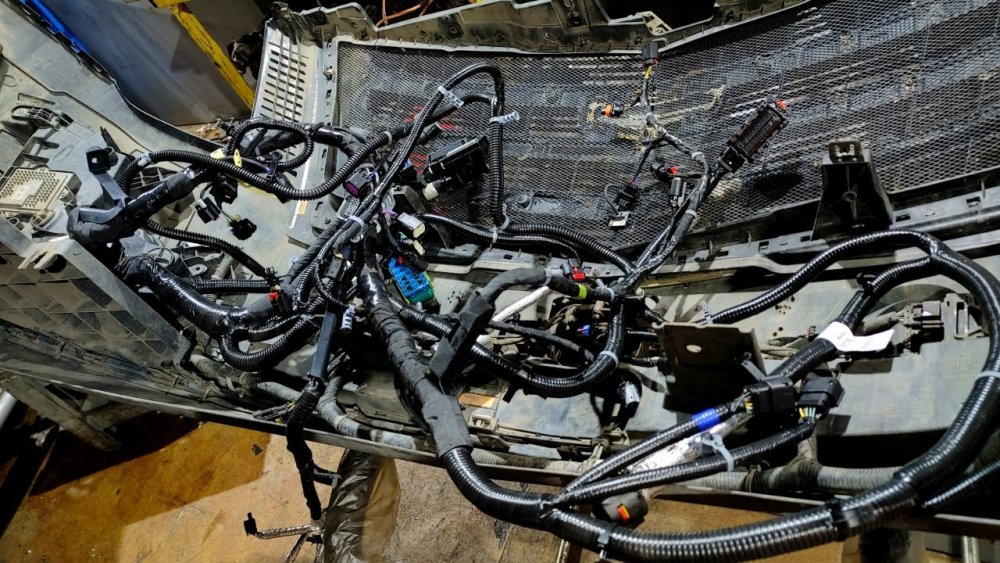 Point Blur_Oct272023_123855.jpg