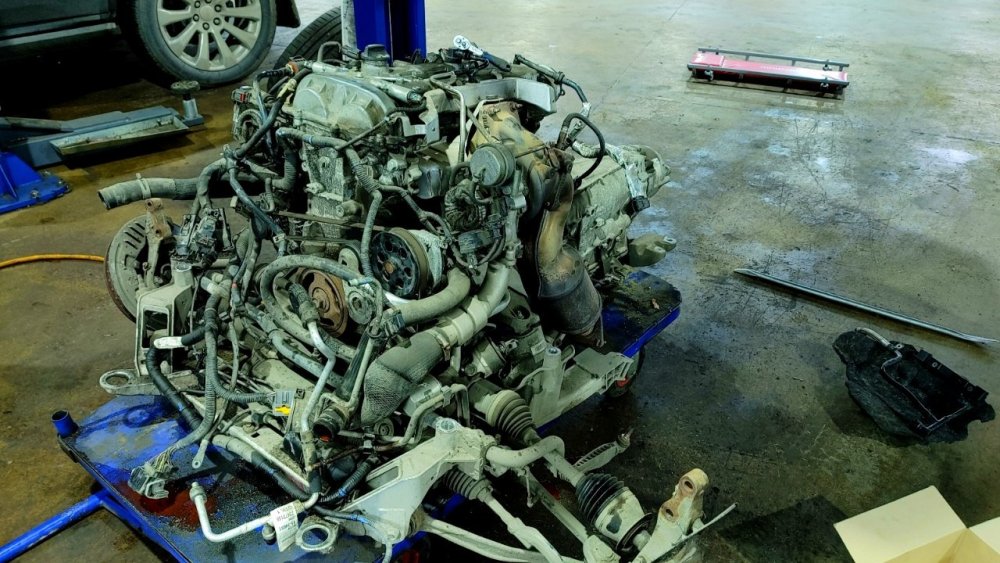 Point Blur_Nov022023_114749.jpg