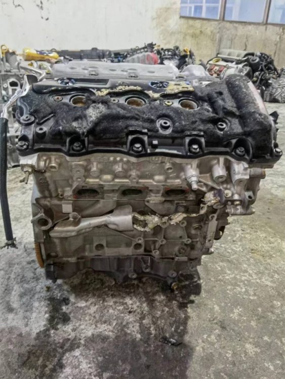 WhatsApp Image 2023-10-25 at 08.53.36_cbae0854.jpg