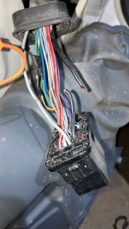 E3382E2D-DD34-4334-AD66-DEAB49526646.jpeg